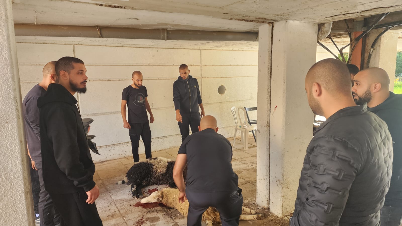 WhatsApp Image 2022-12-14 at 12.06.30 PM (2).jpeg